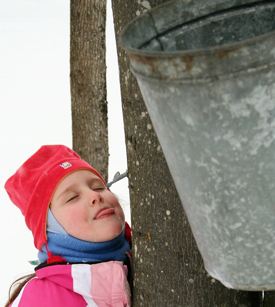 Maple Craft Foods Pure Maple Tree Water, maple sap photo