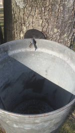 Load and play video in Gallery viewer, Pure Maple Tree Water
