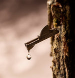 Load image into Gallery viewer, Pure Maple Tree Water
